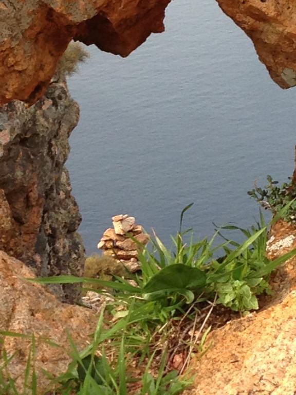 Capo D'Orto - Porto - Corse Hotel Екстериор снимка