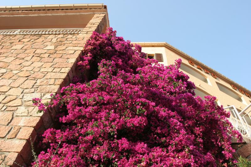 Capo D'Orto - Porto - Corse Hotel Екстериор снимка